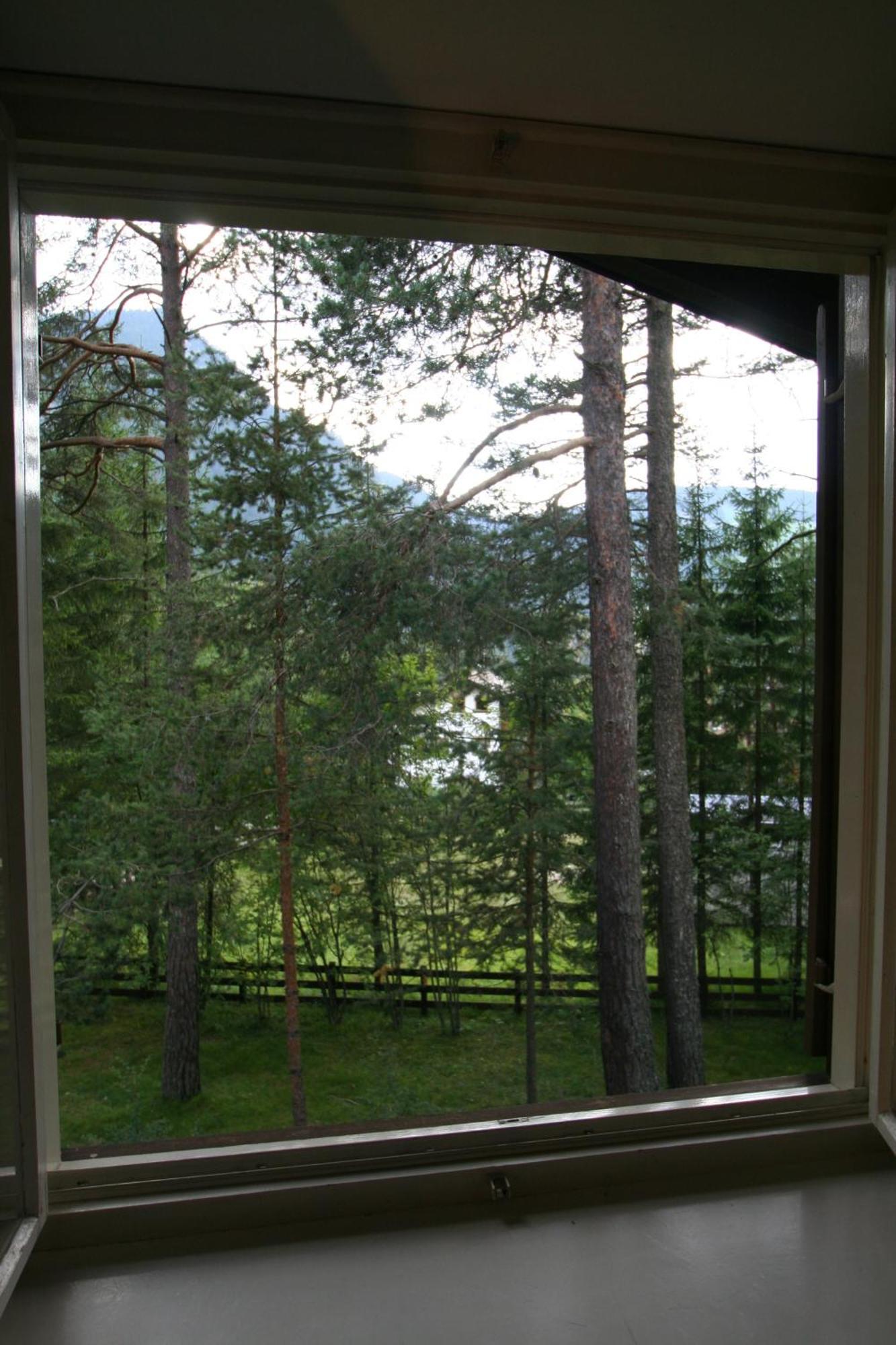 Double Room Mountain View